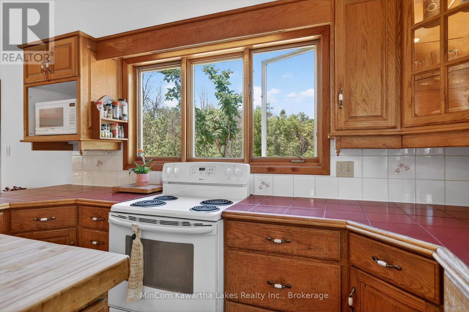 48 Fire Route 31 W, Trent Lakes, Ontario  K0L 1J0 - Photo 10 - X13426510