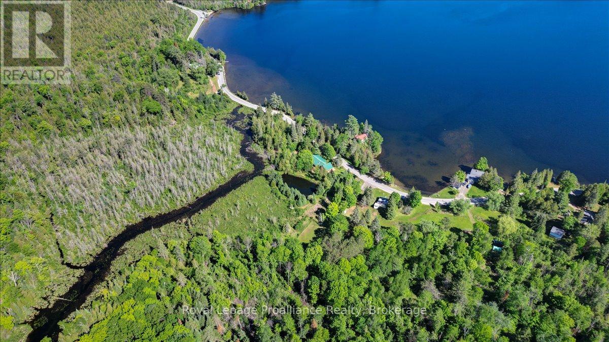 348 Steenburg Lake Road N, Limerick, Ontario  K0L 1W0 - Photo 45 - X13429392