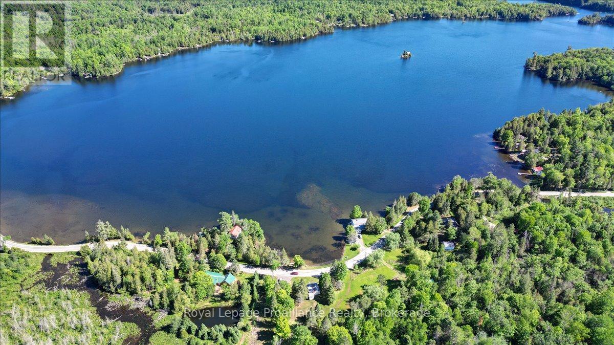 348 Steenburg Lake Road N, Limerick, Ontario  K0L 1W0 - Photo 47 - X13429392