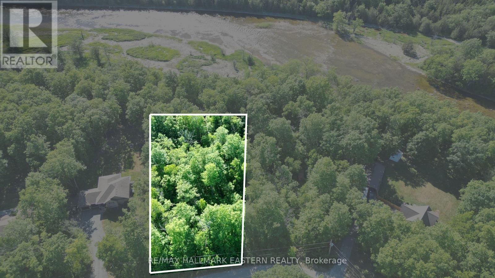 20 Riverside Drive, Trent Hills, Ontario  K0L 1L0 - Photo 2 - X13429846