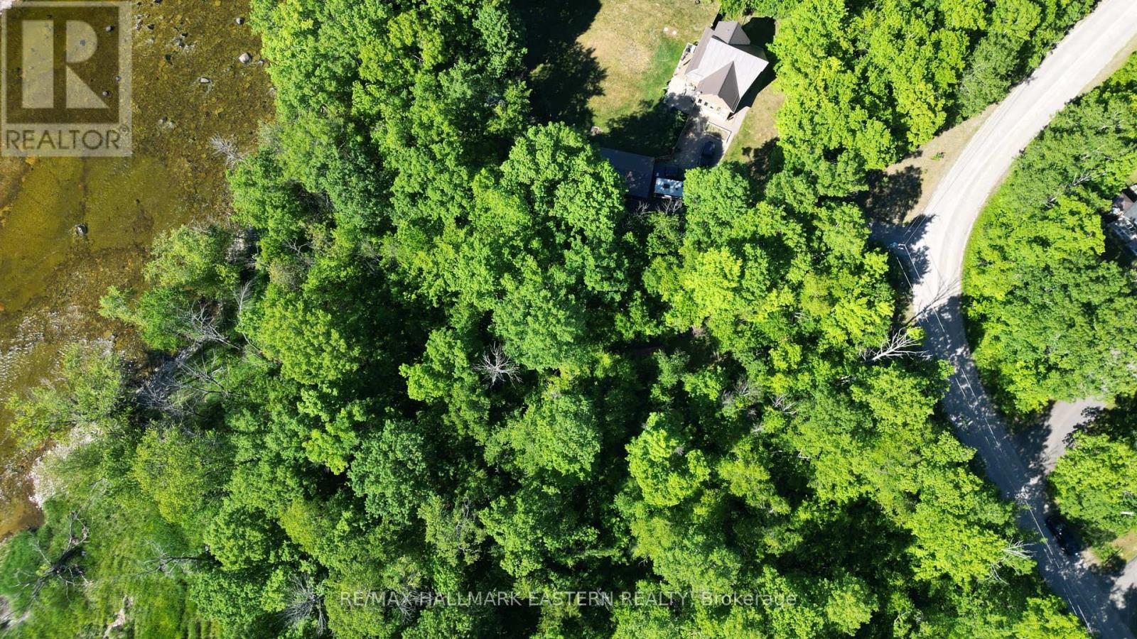 20 Riverside Drive, Trent Hills, Ontario  K0L 1L0 - Photo 6 - X13429846
