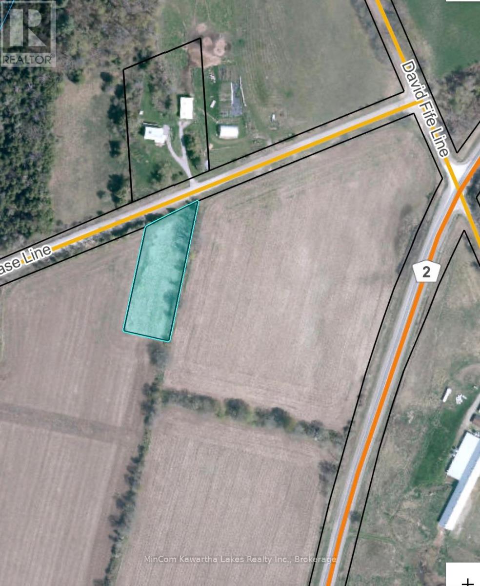Pl 15 Base Line, Otonabee-South Monaghan, Ontario  K0L 2G0 - Photo 12 - X13431404