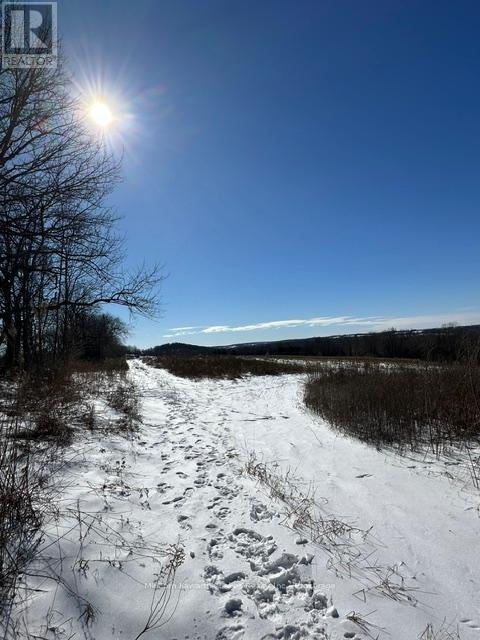Pl 15 Base Line, Otonabee-South Monaghan, Ontario  K0L 2G0 - Photo 15 - X13431404