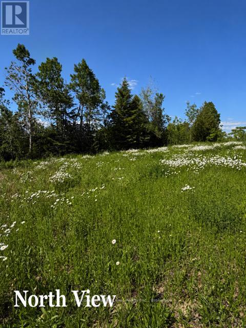 Pl 15 Base Line, Otonabee-South Monaghan, Ontario  K0L 2G0 - Photo 4 - X13431404