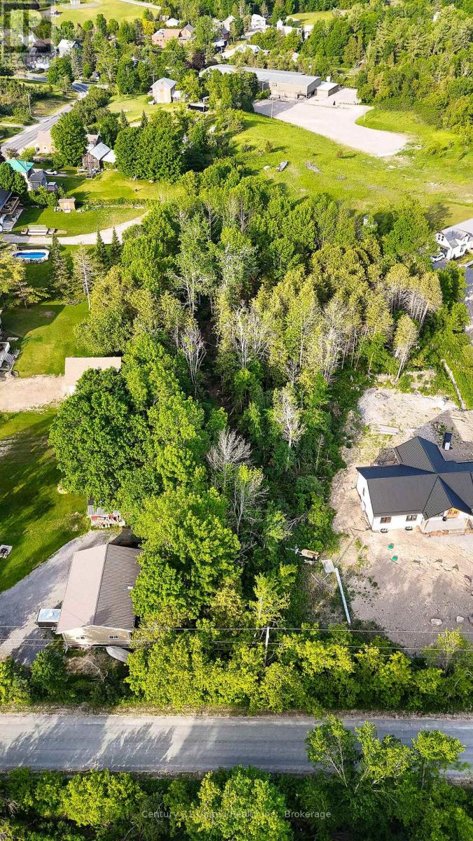 833 Iron Woods Dr Part 3, Douro-Dummer, Ontario  K0L 3A0 - Photo 5 - X13433128