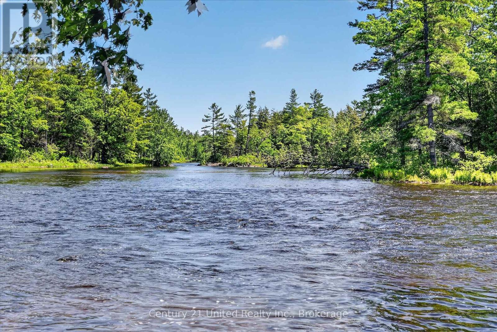 90 Bowen Road, Havelock-Belmont-Methuen (Belmont-Methuen), Ontario  K0L 1Z0 - Photo 26 - X13434440