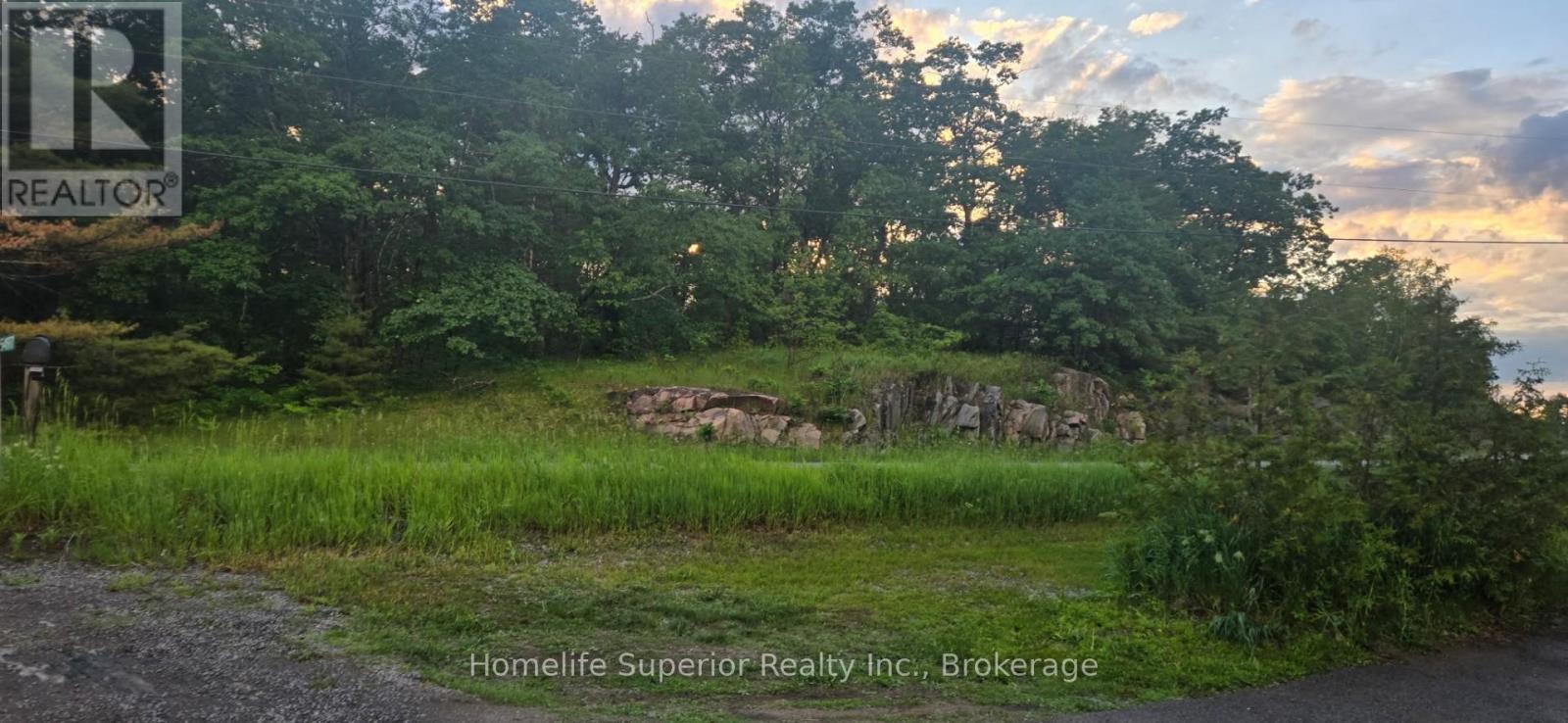 5497 County Rd 46, Havelock-Belmont-Methuen, Ontario  K0L 1Z0 - Photo 23 - X13436786