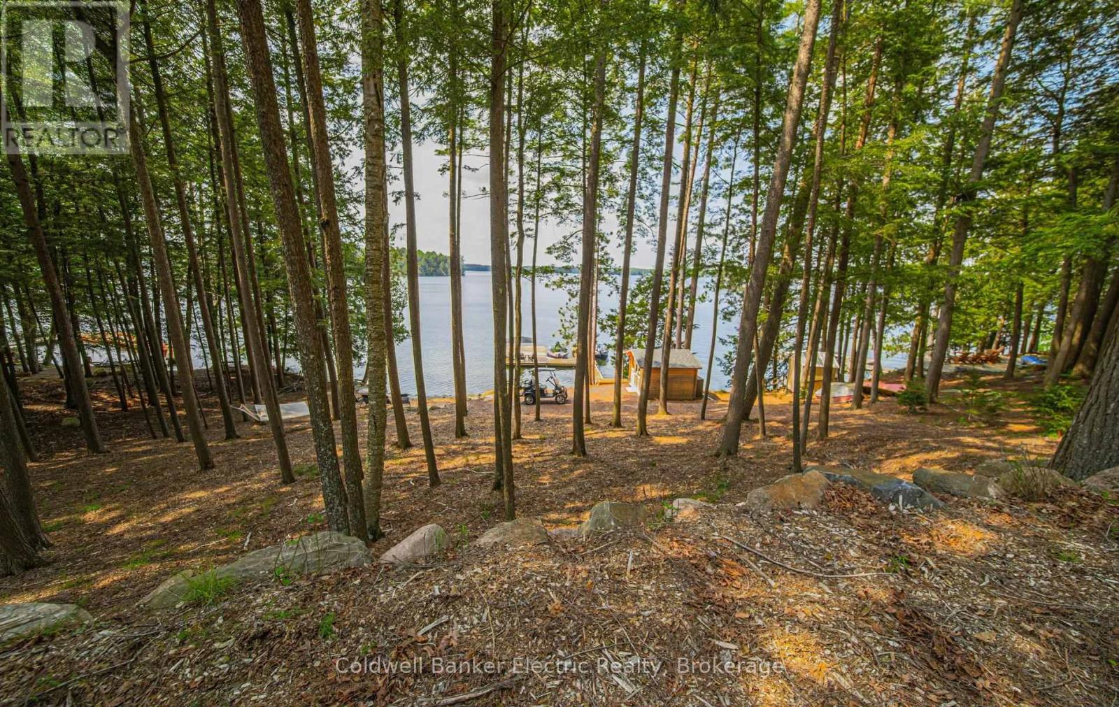 555 Fire Route 50, North Kawartha, Ontario  K0L 1A0 - Photo 15 - X13436878
