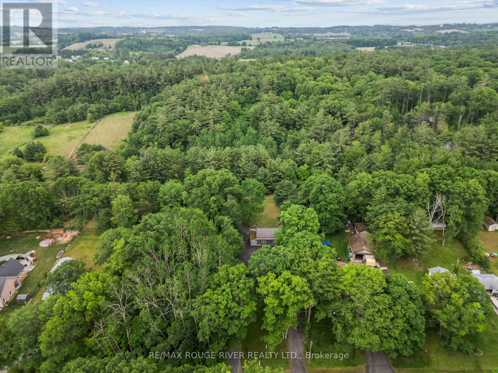7123 Poplar Drive, Hamilton Township (Bewdley), Ontario  K0L 1E0 - Photo 48 - X13436960