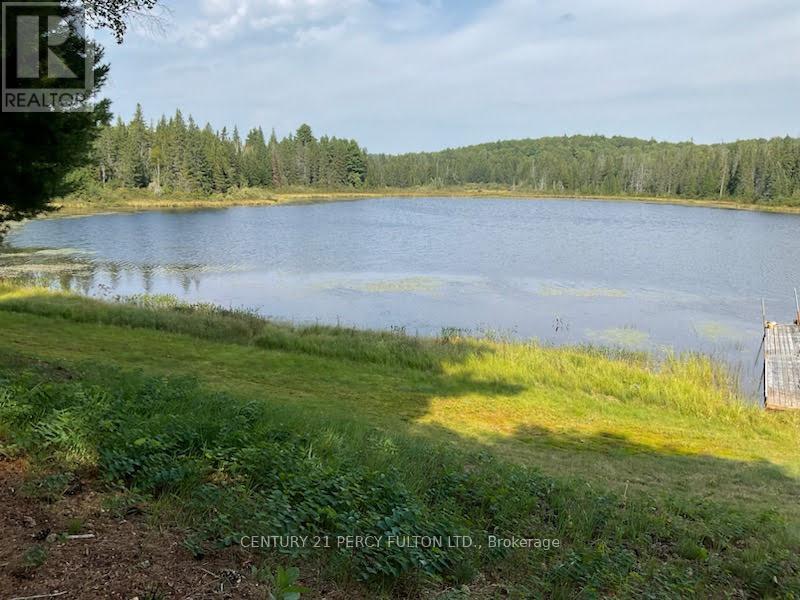 100 B Baragars Road, Hastings Highlands (Mcclure Ward), Ontario  K0L 2K0 - Photo 17 - X13436976