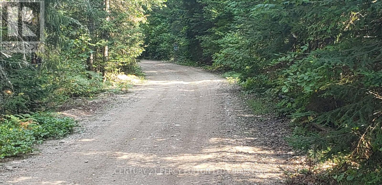100 B Baragars Road, Hastings Highlands (Mcclure Ward), Ontario  K0L 2K0 - Photo 39 - X13436976
