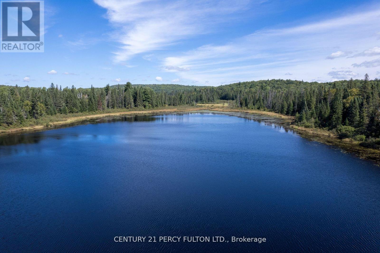 100 B Baragars Road, Hastings Highlands (Mcclure Ward), Ontario  K0L 2K0 - Photo 7 - X13436976