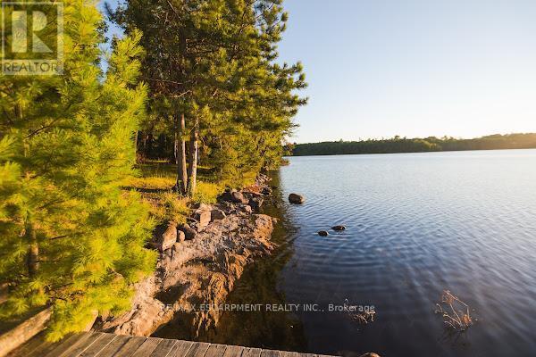 372 Gunter Lake Road, Tudor And Cashel (Cashel Ward), Ontario  K0L 1W0 - Photo 40 - X13437234