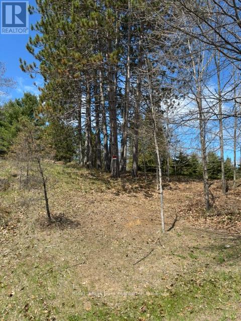 26686 HIGHWAY 62 S, bancroft (dungannon ward), Ontario