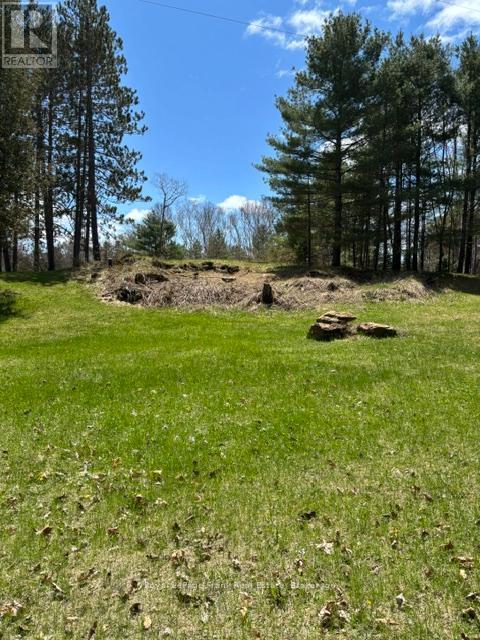 26686 Highway 62 S, Bancroft (Dungannon Ward), Ontario  K0L 1C0 - Photo 3 - X13438686