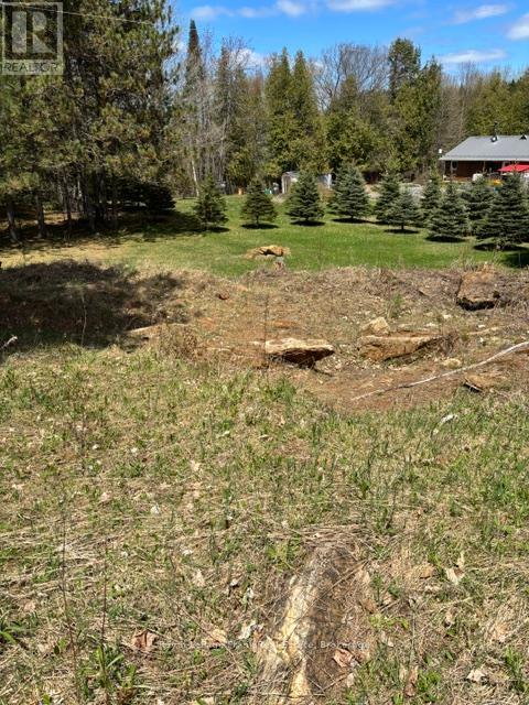 26686 Highway 62 S, Bancroft (Dungannon Ward), Ontario  K0L 1C0 - Photo 5 - X13438686