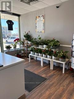 6 - 139 GEORGE STREET N, peterborough (town ward 3), Ontario