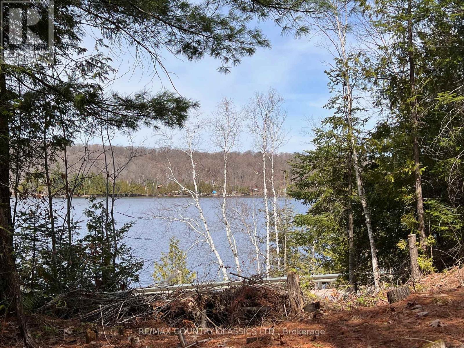1322a Weslemkoon Lake Road, Tudor And Cashel (Tudor Ward), Ontario  K0L 1W0 - Photo 10 - X13439246