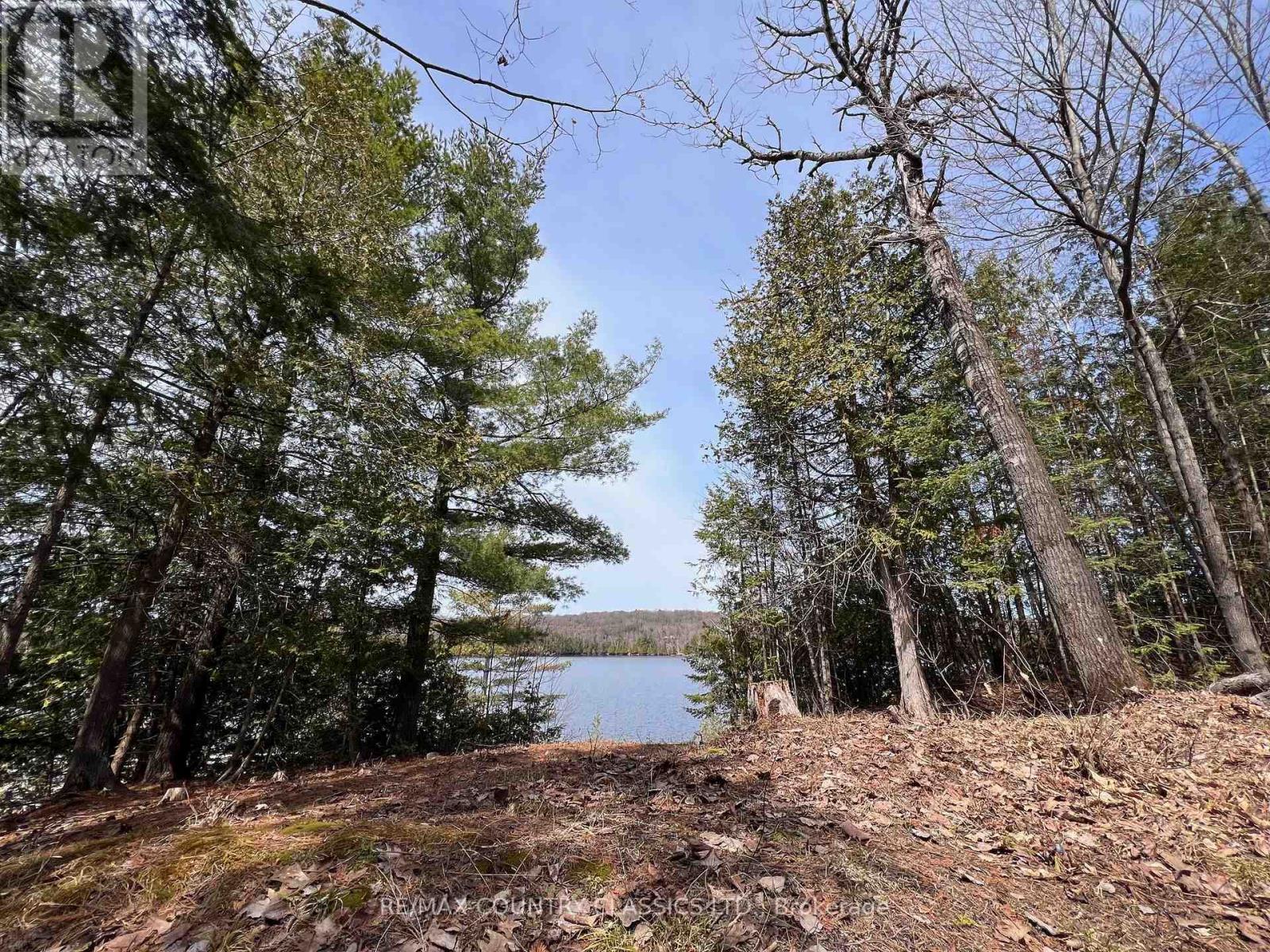 1322a Weslemkoon Lake Road, Tudor And Cashel (Tudor Ward), Ontario  K0L 1W0 - Photo 11 - X13439246