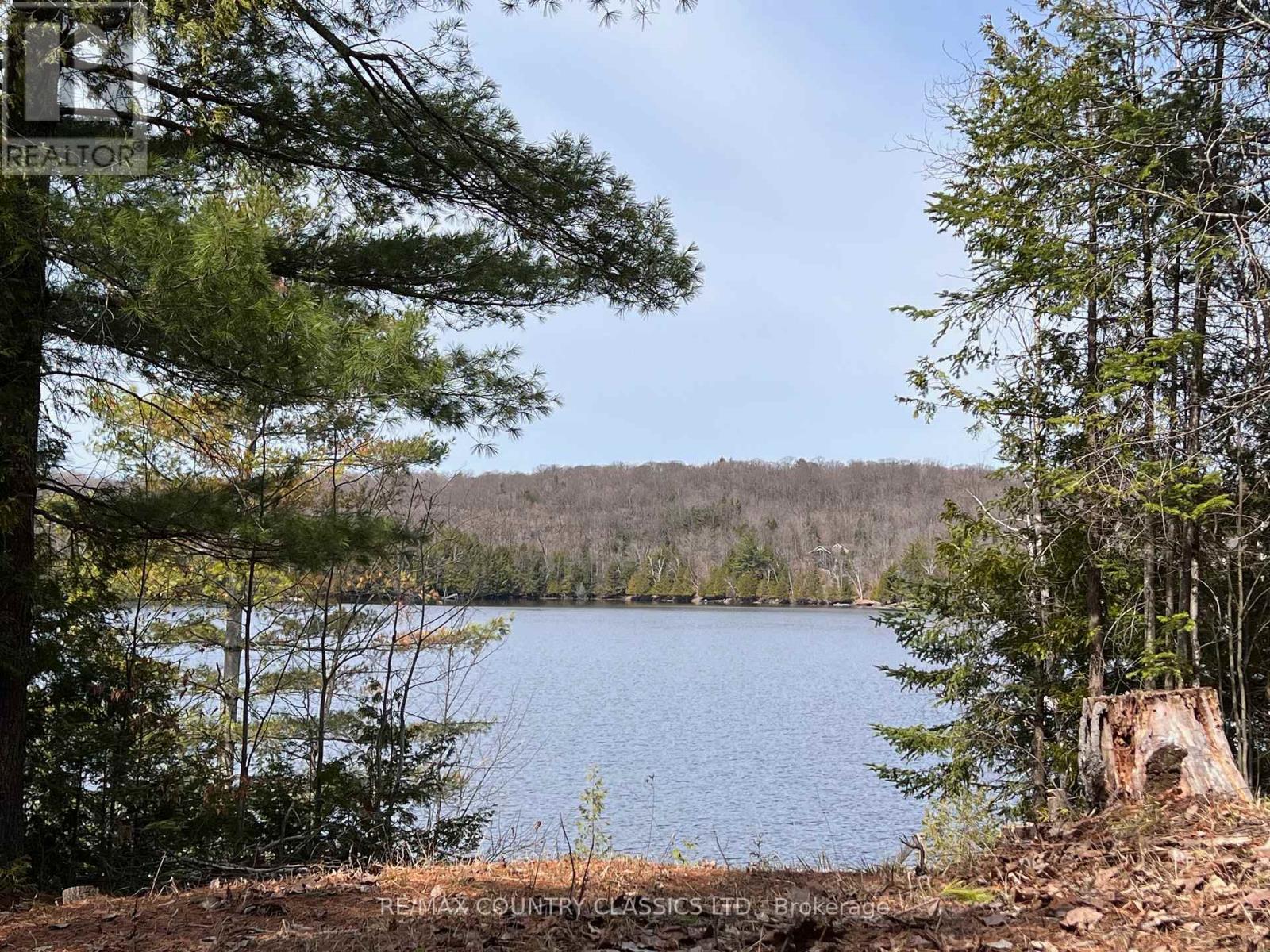 1322a Weslemkoon Lake Road, Tudor And Cashel (Tudor Ward), Ontario  K0L 1W0 - Photo 12 - X13439246