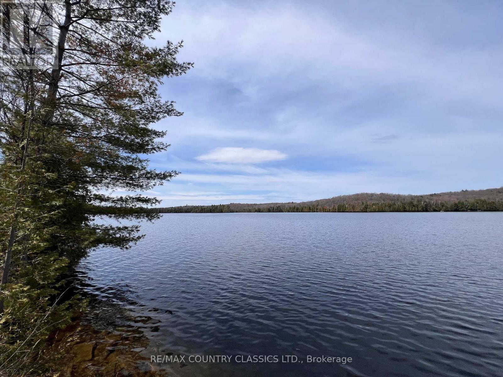 1322a Weslemkoon Lake Road, Tudor And Cashel (Tudor Ward), Ontario  K0L 1W0 - Photo 48 - X13439246