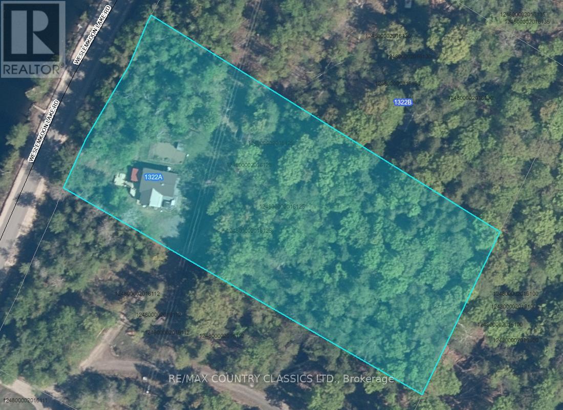 1322a Weslemkoon Lake Road, Tudor And Cashel (Tudor Ward), Ontario  K0L 1W0 - Photo 49 - X13439246