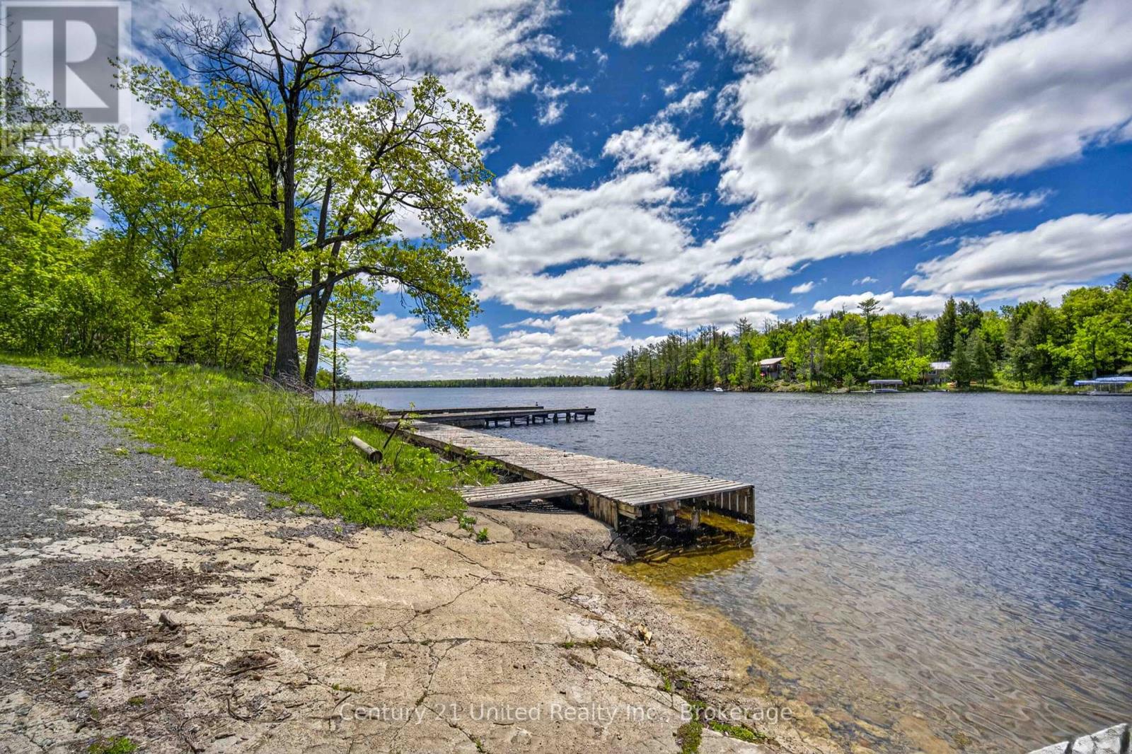 832 Northey's Bay Road, North Kawartha, Ontario  K0L 3E0 - Photo 22 - X13441732