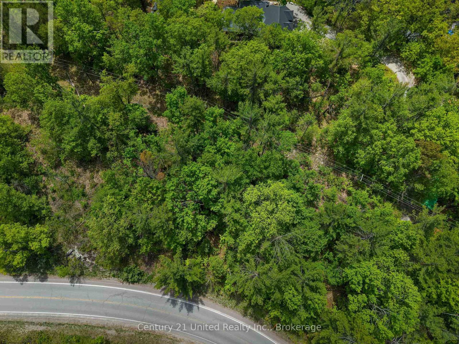 832 Northey's Bay Road, North Kawartha, Ontario  K0L 3E0 - Photo 41 - X13441732