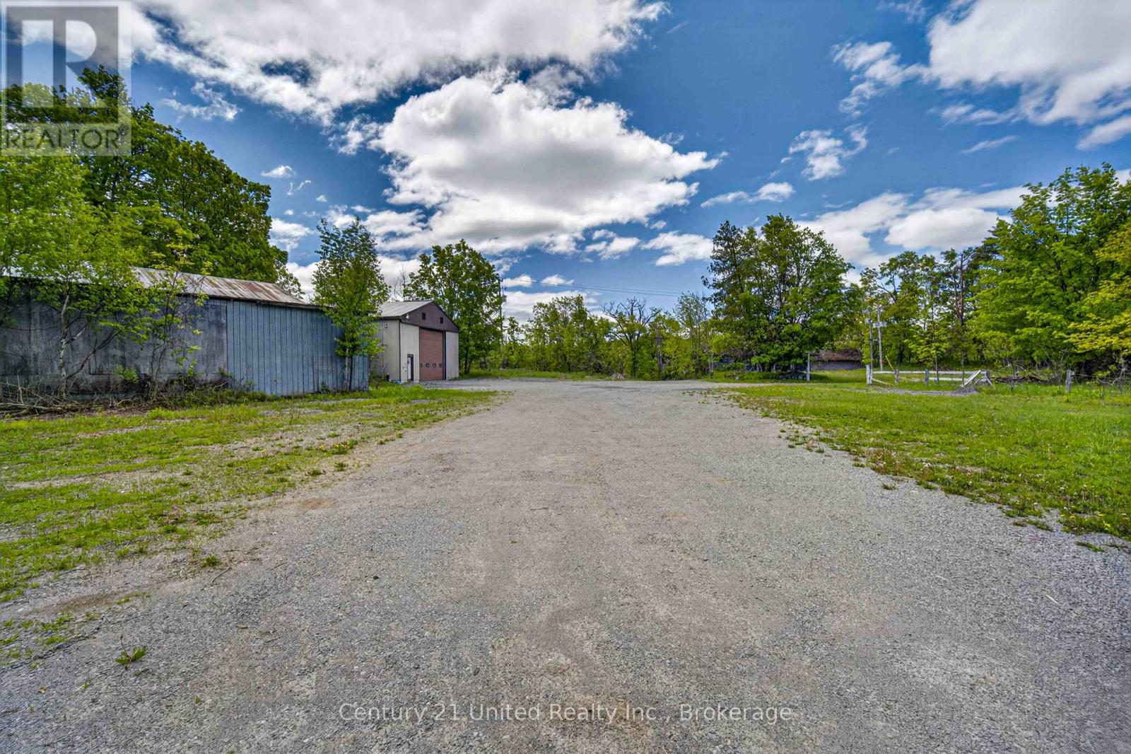 832 Northey's Bay Road, North Kawartha, Ontario  K0L 3E0 - Photo 47 - X13441732