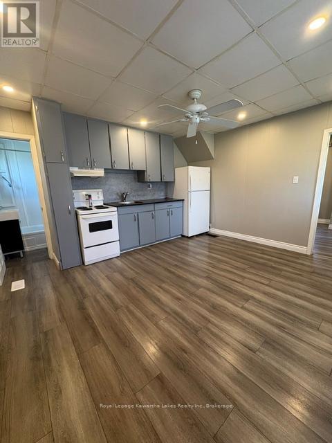 21 James Street, Kawartha Lakes (Lindsay), Ontario  K9V 3B3 - Photo 11 - X13443956