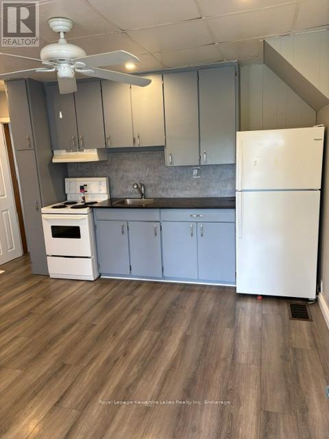 21 James Street, Kawartha Lakes (Lindsay), Ontario  K9V 3B3 - Photo 3 - X13443956
