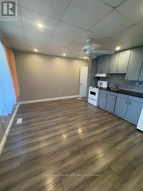 21 James Street, Kawartha Lakes (Lindsay), Ontario  K9V 3B3 - Photo 8 - X13443956
