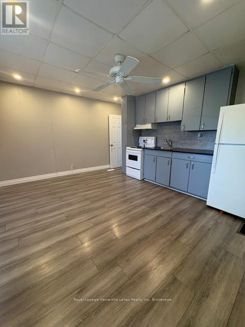 21 James Street, Kawartha Lakes (Lindsay), Ontario  K9V 3B3 - Photo 9 - X13443956