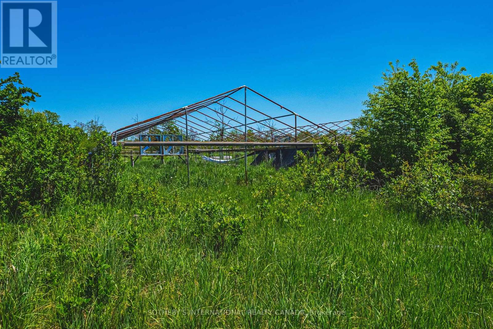 215 Laplantes Road, Trent Lakes, Ontario  K0L 1J0 - Photo 41 - X13444166