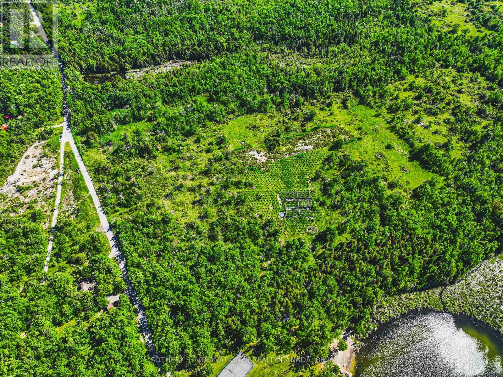 215 Laplantes Road, Trent Lakes, Ontario  K0L 1J0 - Photo 43 - X13444166