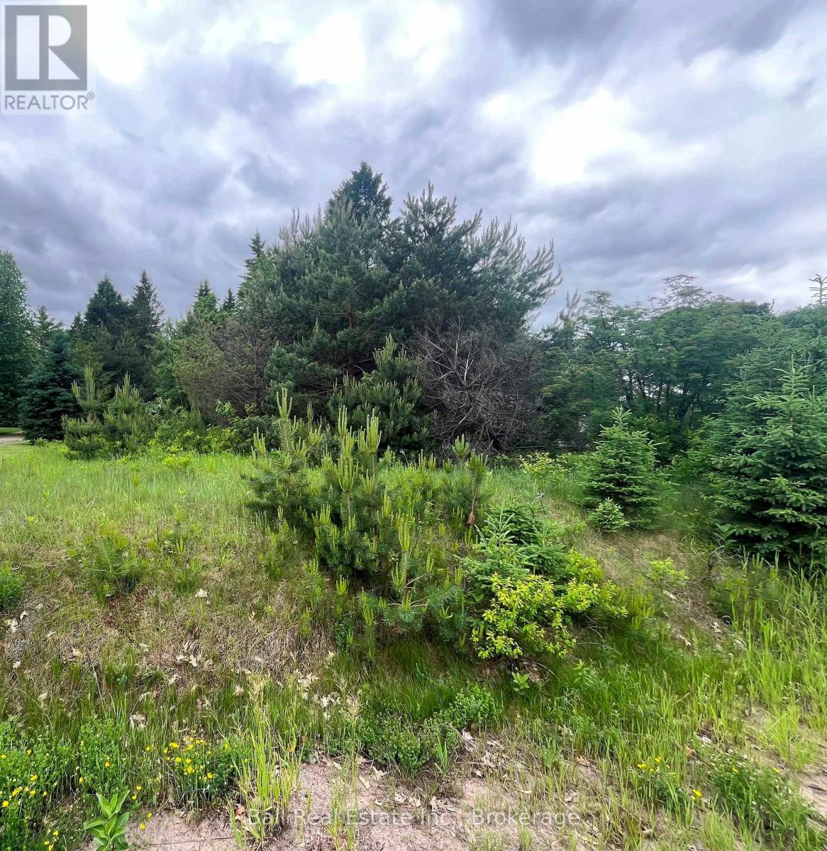 Pt Lt 76 Hastings Street, Bancroft (Bancroft Ward), Ontario  K0L 1C0 - Photo 2 - X13448012