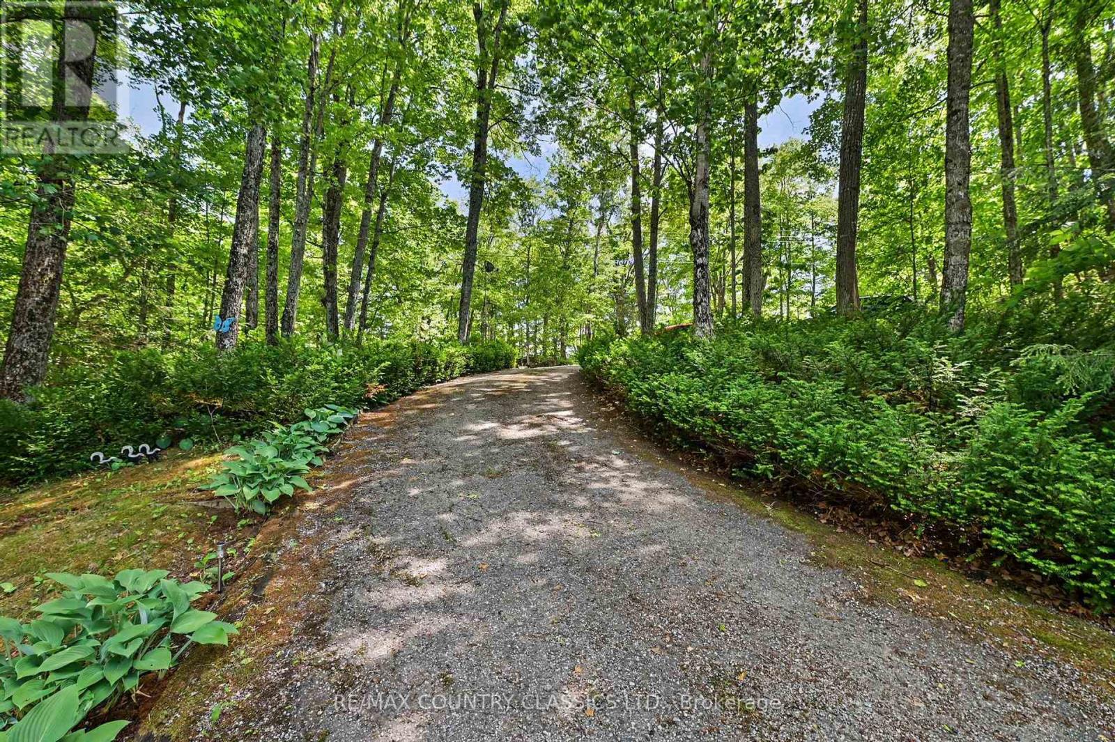 287 Doc Evans Road, North Kawartha, Ontario  K0L 1A0 - Photo 22 - X13449358