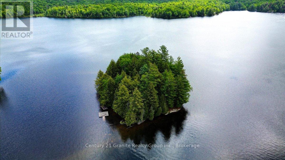 19400 Upper Paudash-Birch, Highlands East (Bicroft Ward), Ontario  K0L 1M0 - Photo 20 - X13450834