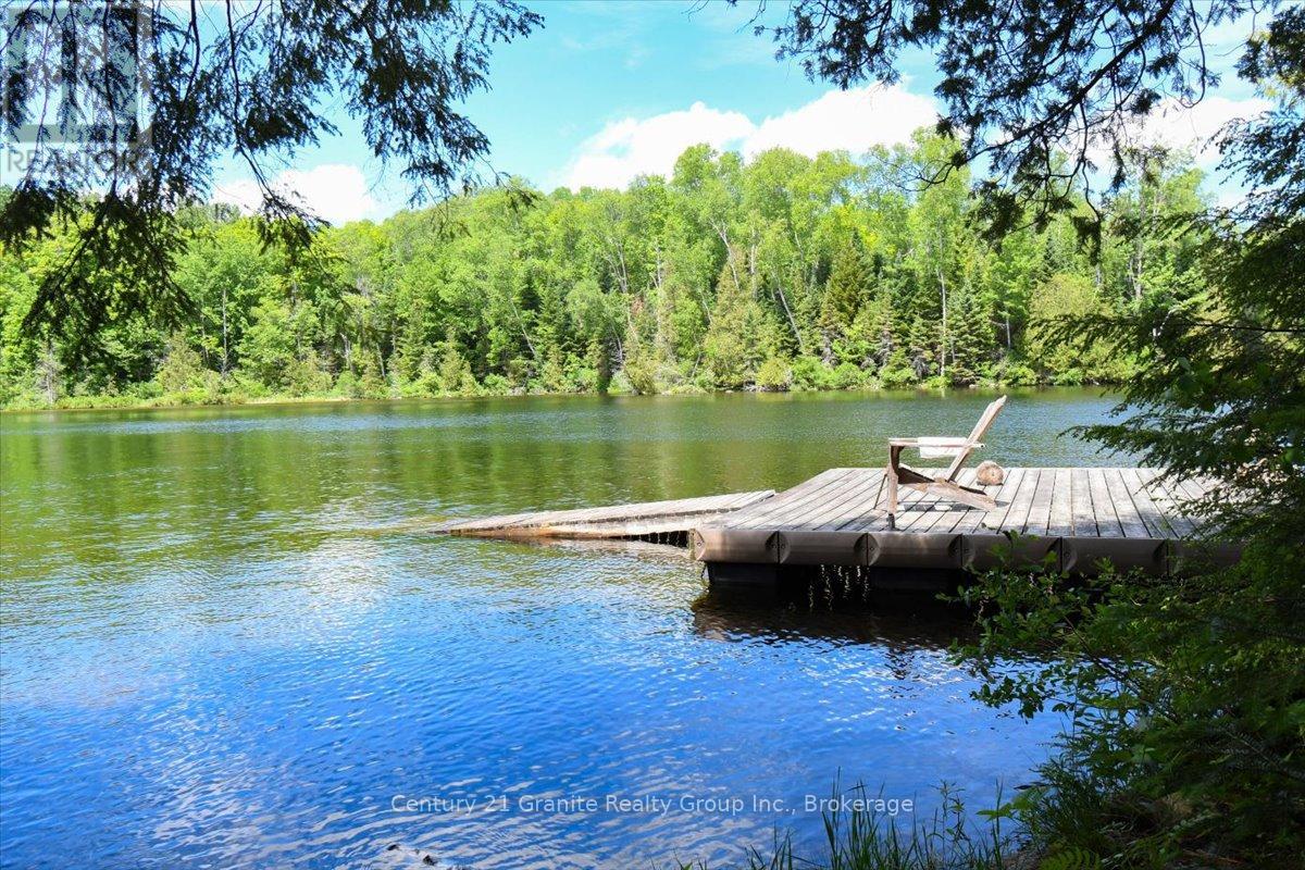 19400 Upper Paudash-Birch, Highlands East (Bicroft Ward), Ontario  K0L 1M0 - Photo 43 - X13450834