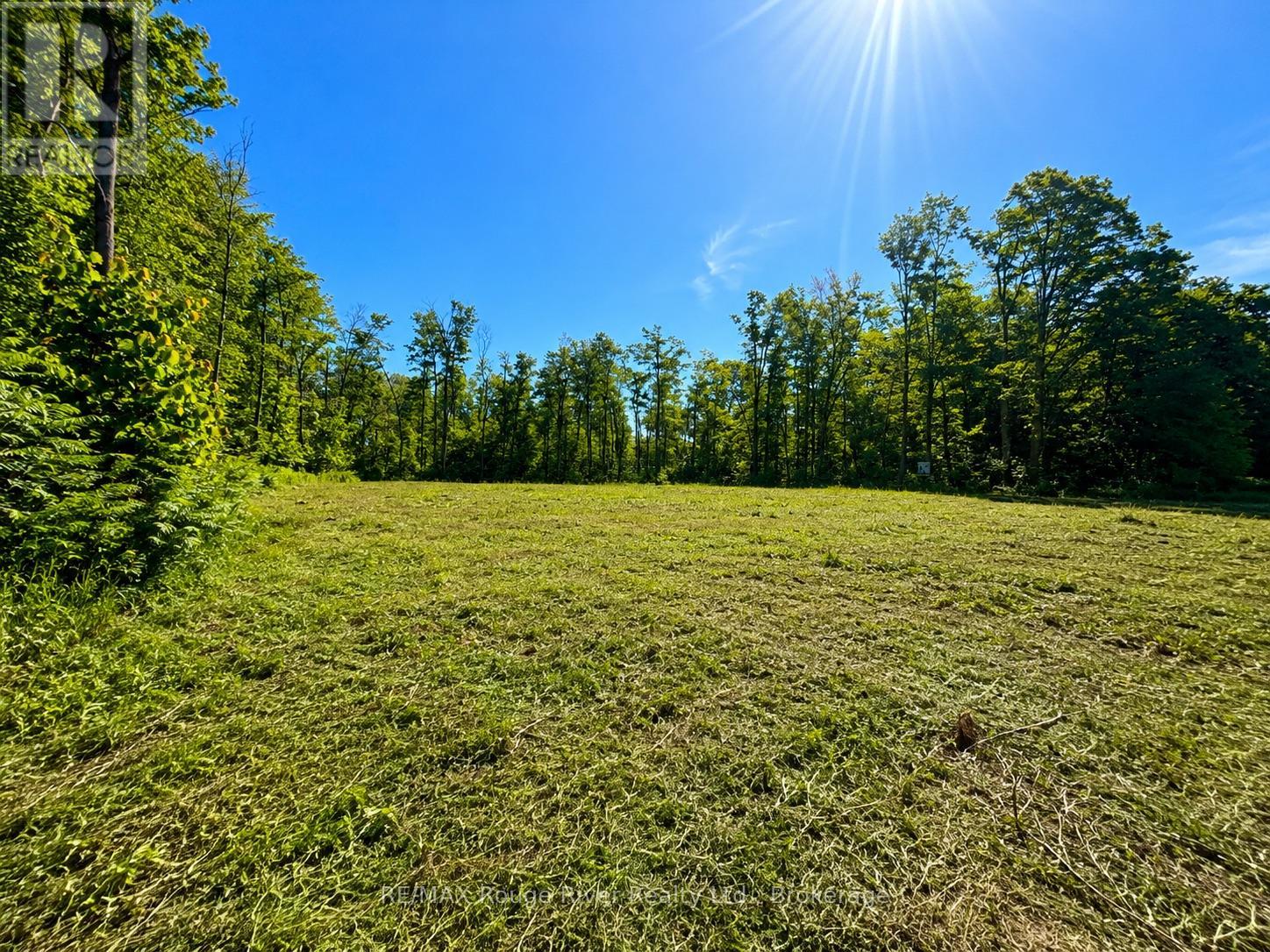 1293 David Fife Line, Otonabee-South Monaghan, Ontario  K0L 2G0 - Photo 2 - X13450864