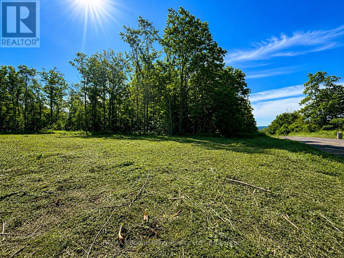 1293 David Fife Line, Otonabee-South Monaghan, Ontario  K0L 2G0 - Photo 4 - X13450864