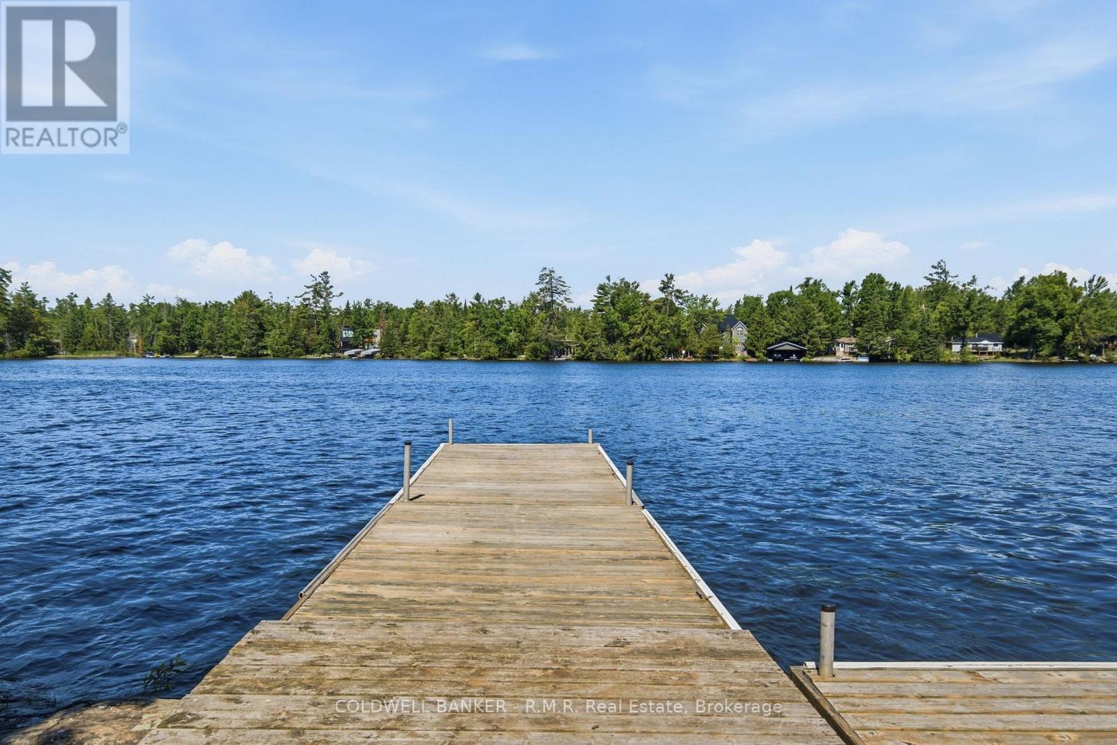 207 Hall Drive, Trent Lakes, Ontario  K0L 1J0 - Photo 46 - X13452456