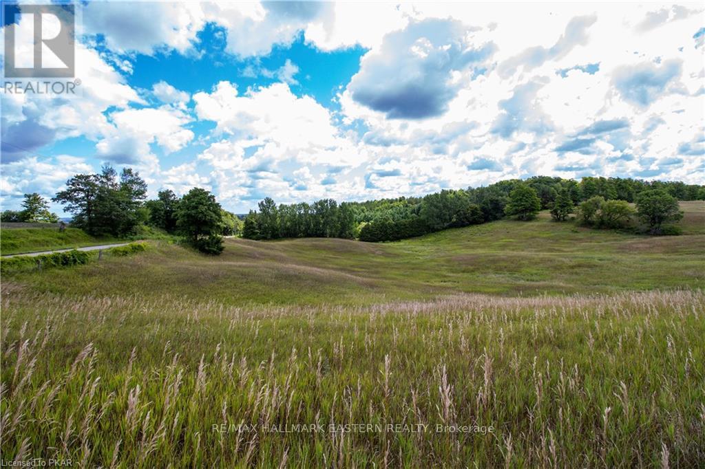 534 Meadowview Road, Kawartha Lakes (Emily), Ontario  K0L 2W0 - Photo 39 - X13452892