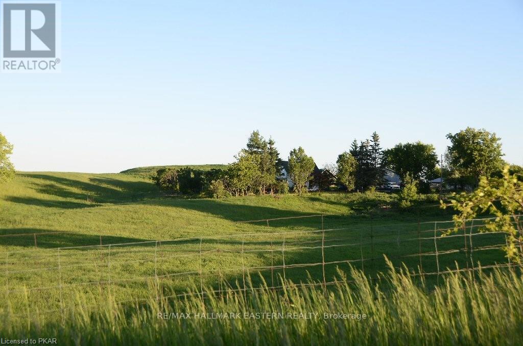 534 Meadowview Road, Kawartha Lakes (Emily), Ontario  K0L 2W0 - Photo 41 - X13452892