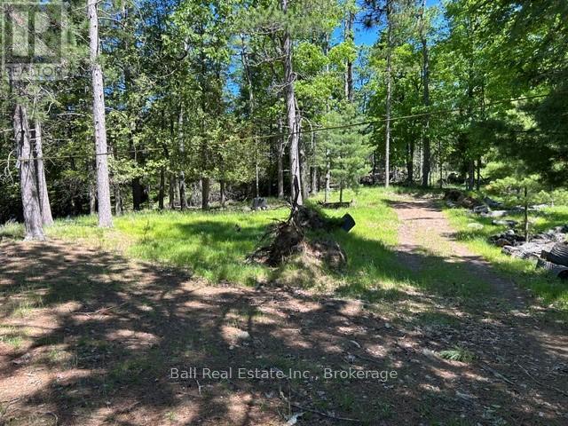 79 Fire Route 89d, North Kawartha, Ontario  K0L 3E0 - Photo 10 - X13455054
