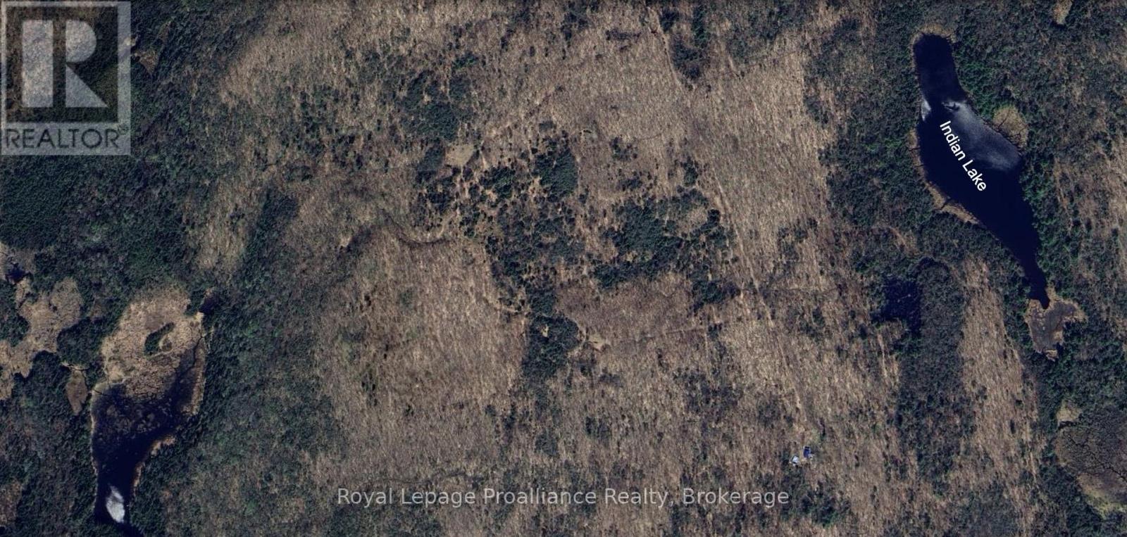 1623 Madawaska Road, Hastings Highlands (Wicklow Ward), Ontario  K0L 2K0 - Photo 12 - X13455874