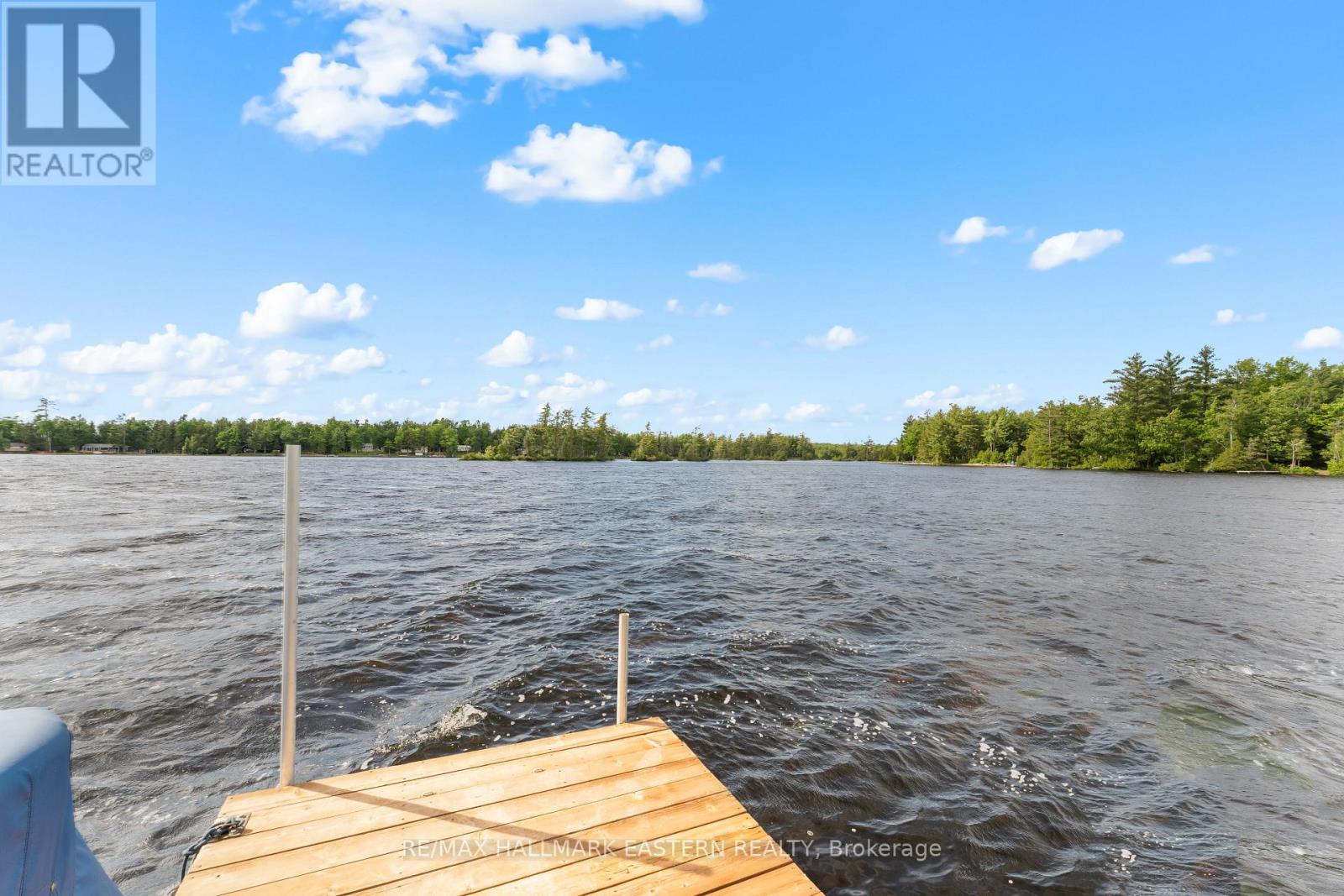 139 Lakeland Avenue, Trent Lakes, Ontario  K0L 1J0 - Photo 17 - X13461032