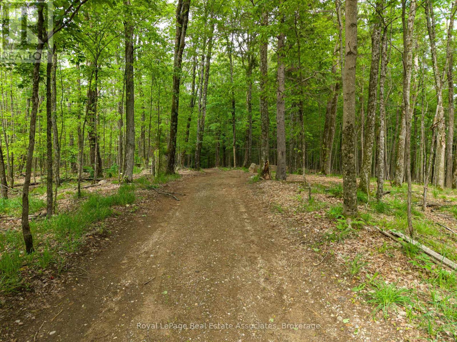 5301 Hwy 620 Highway, Wollaston, Ontario  K0L 1P0 - Photo 2 - X13464002