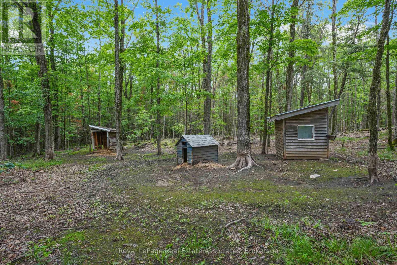 5301 Hwy 620 Highway, Wollaston, Ontario  K0L 1P0 - Photo 31 - X13464002