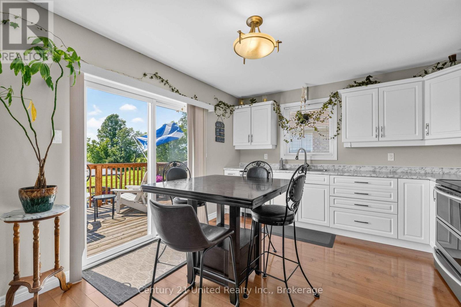 41 Darrel Drain Crescent, Asphodel-Norwood, Ontario  K0L 2V0 - Photo 7 - X13466776